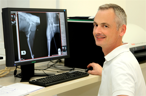 Dr. Badegruber sitzt im weißen Polo vor dem Bildschirm mit Röntgenaufnahmen